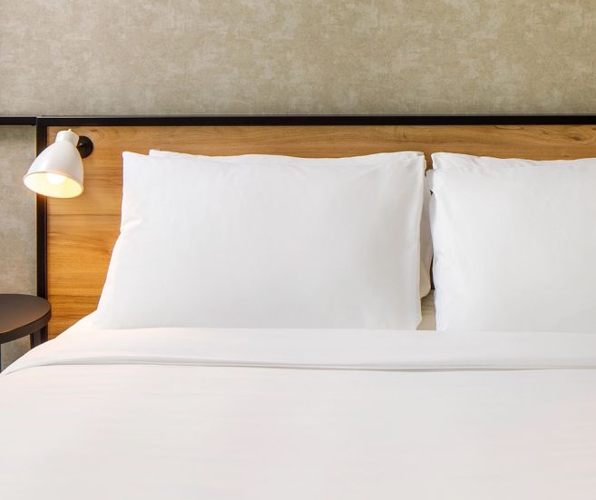 ibis feather and down pillow 1